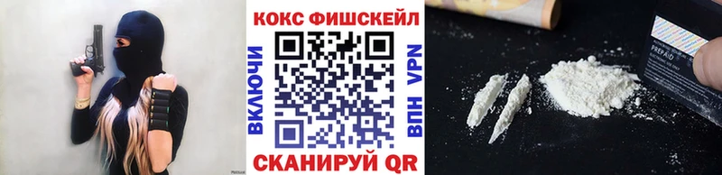 Купить закладки  Александровское  Cocaine FishScale 