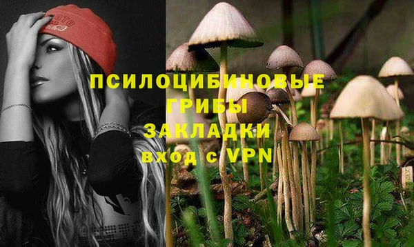 гидропоника Алзамай