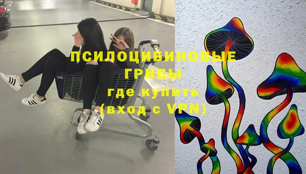 шишки Алексин